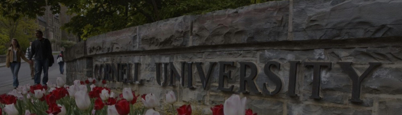 Stone "Cornell University" sign with flowers in front of it